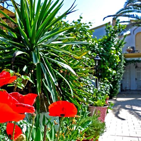 Villa Elena Studios Dassia  Ngoại thất bức ảnh