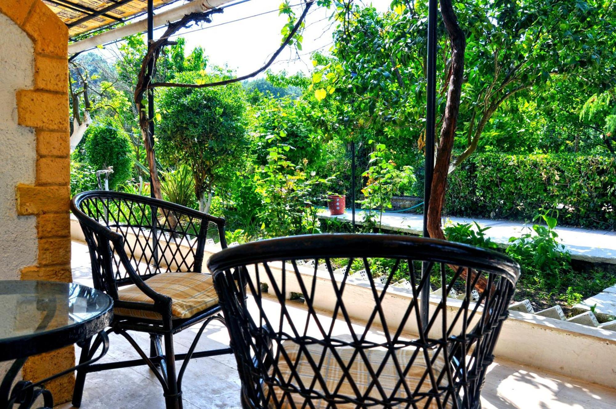Villa Elena Studios Dassia  Ngoại thất bức ảnh