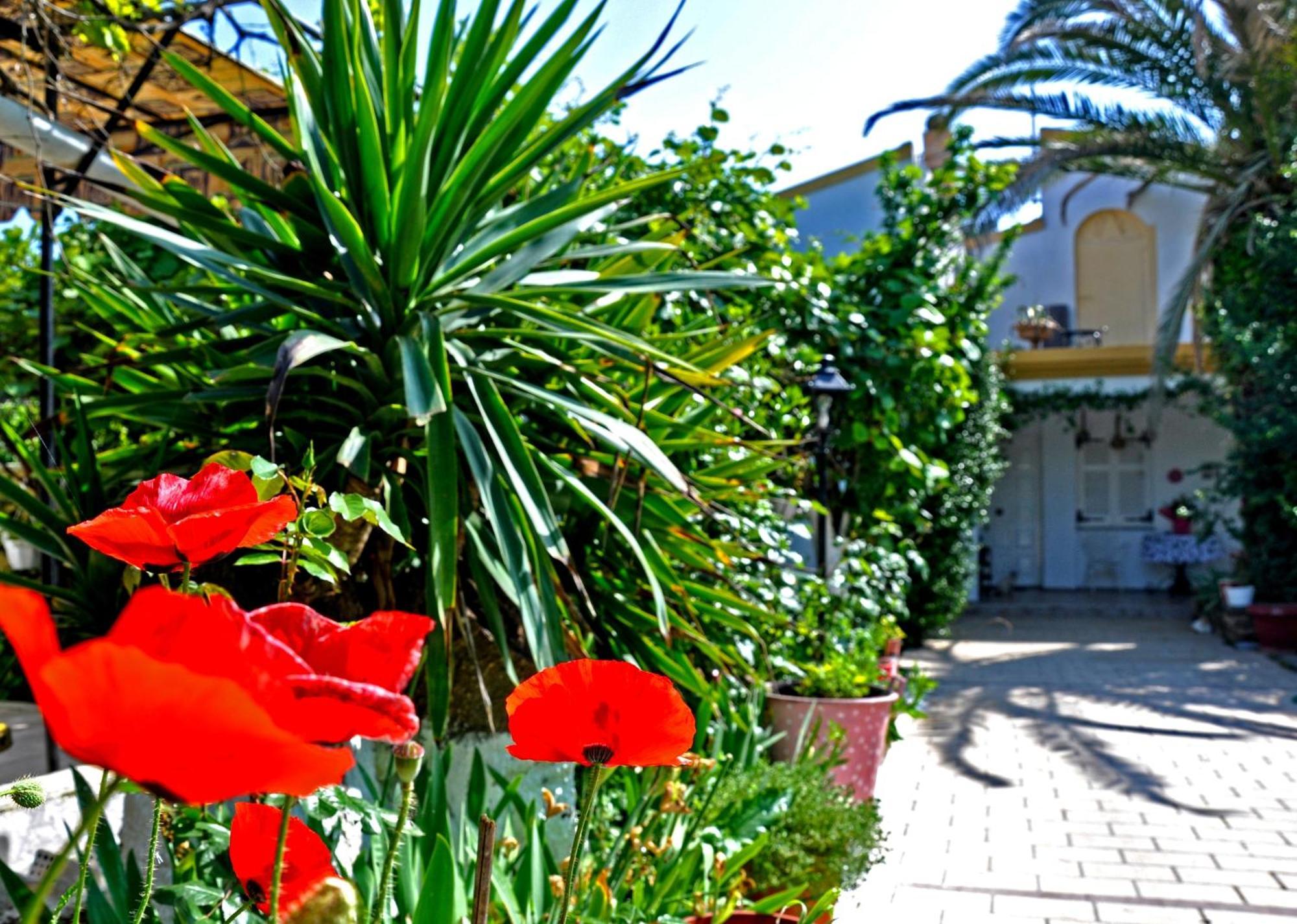 Villa Elena Studios Dassia  Ngoại thất bức ảnh