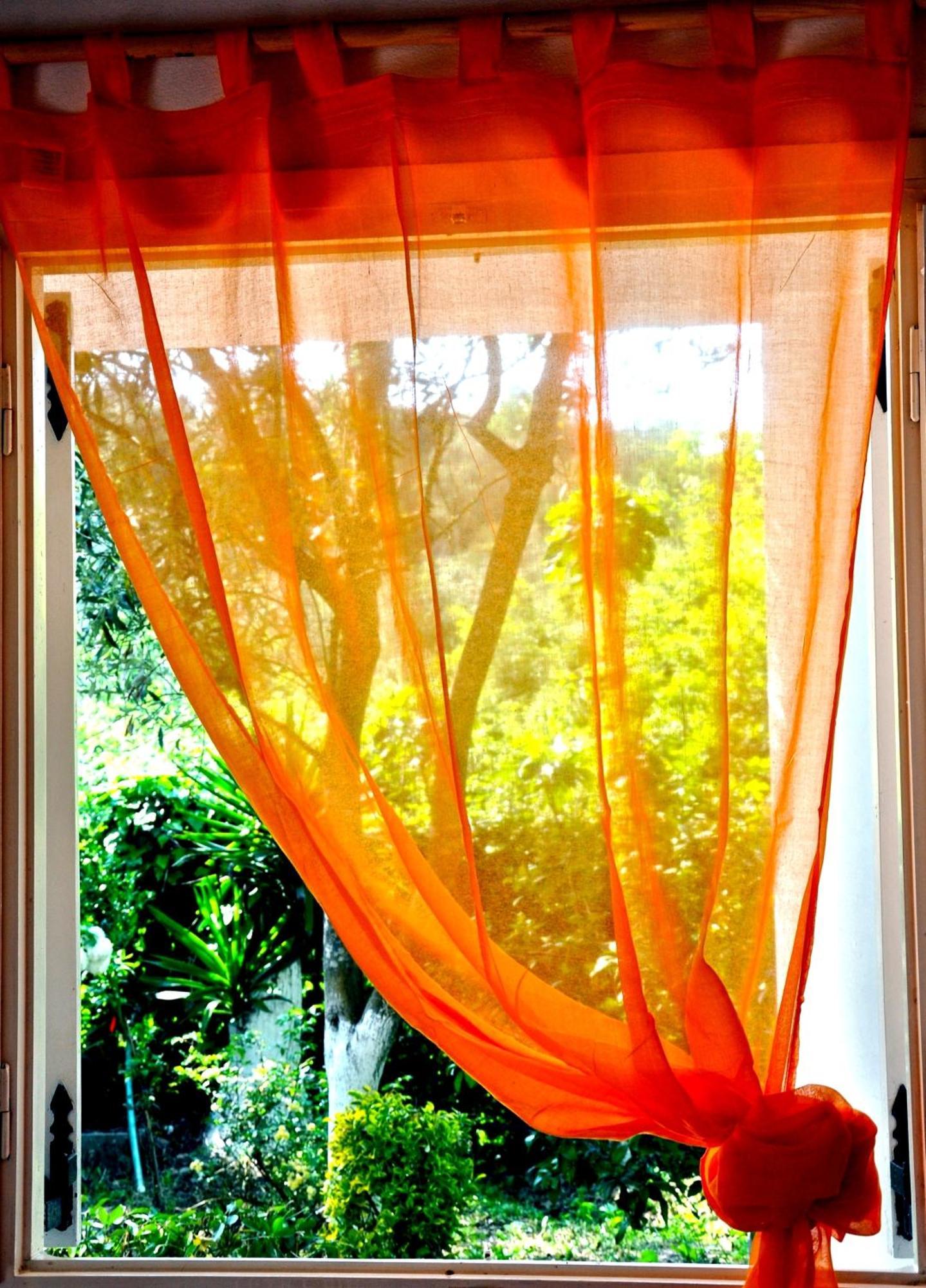 Villa Elena Studios Dassia  Ngoại thất bức ảnh