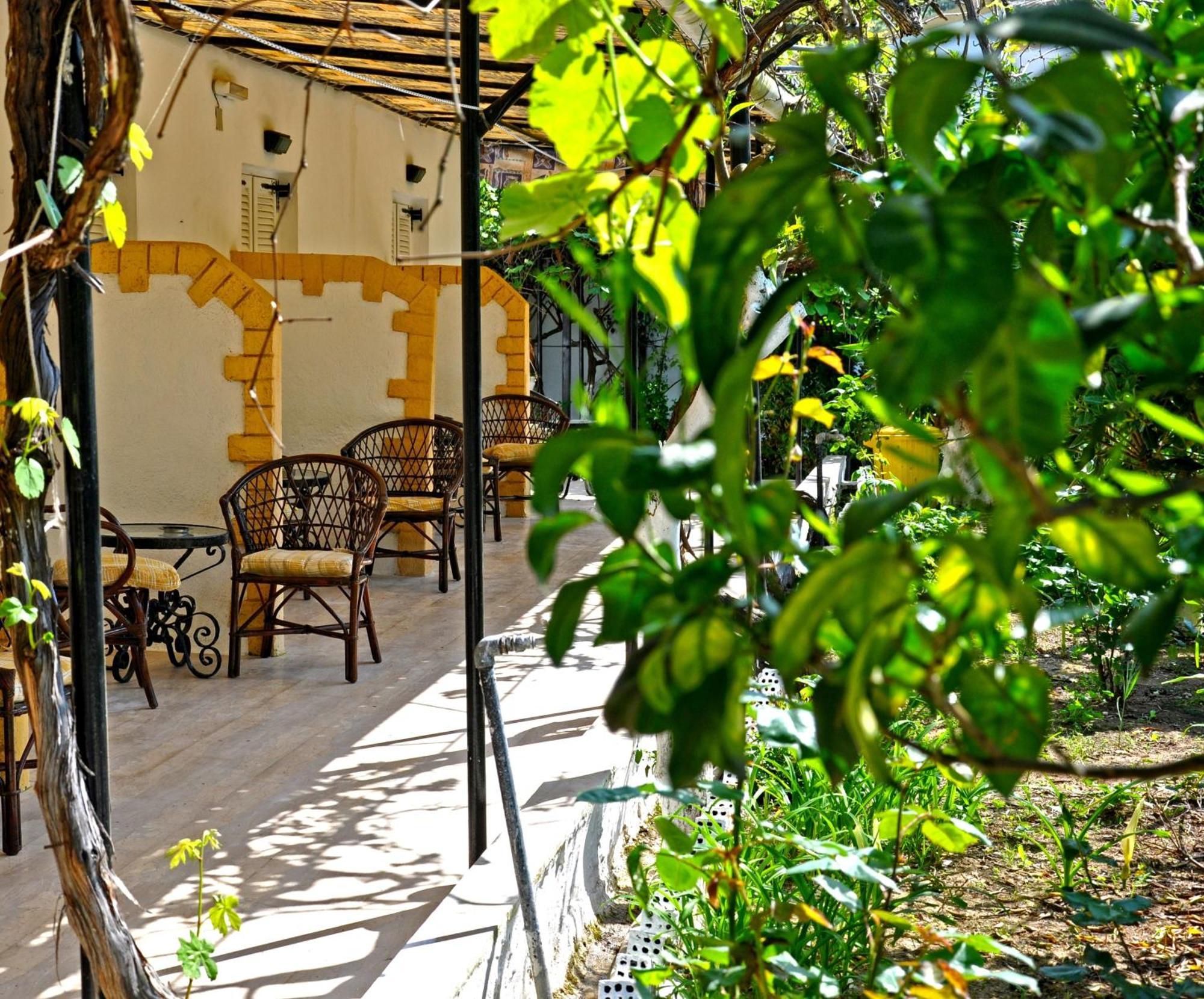 Villa Elena Studios Dassia  Ngoại thất bức ảnh